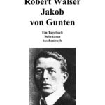 Ein Tagebuch German Edition Robert Walser Kitap Kapağı