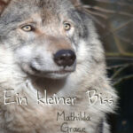 Ein kleiner Biss German Edition Grace Mathilda Kitap Kapağı