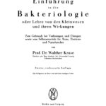 Einfuhrung in die Bakteriologie oder Lehre von den Kleinwesen und ihren Wirkungen German Edition Walther Kruse Kitap Kapağı