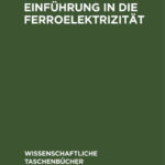Einfuhrung in die Ferroelektrizitat German Edition A S Sonin Kitap Kapağı