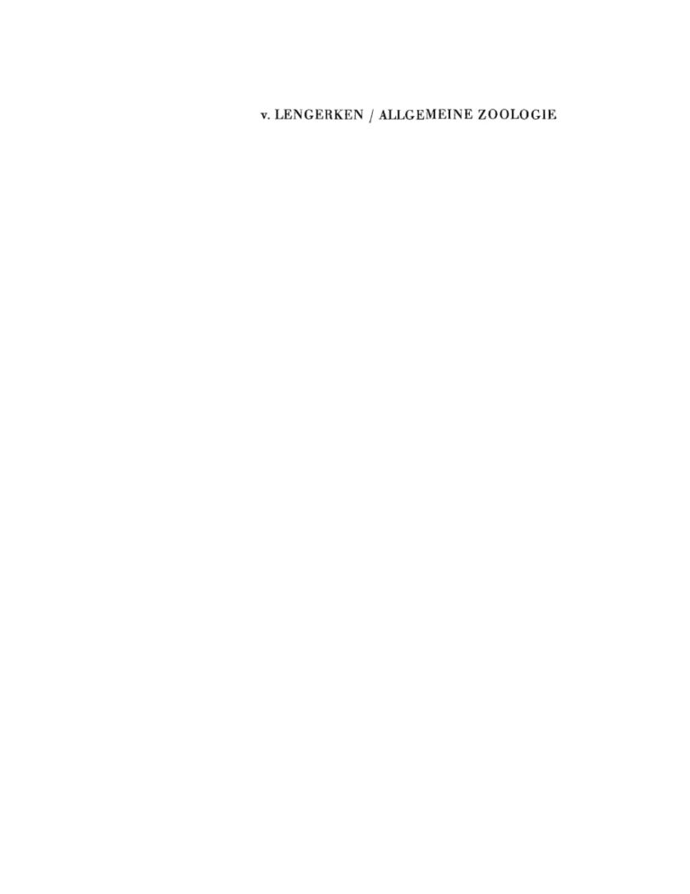 Einfuhrung in die allgemeine Zoologie German Edition Hanns Lengerken Kitap Kapağı
