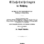 Elsass Lothringen im Reichstag German Edition August Schricker Kitap Kapağı