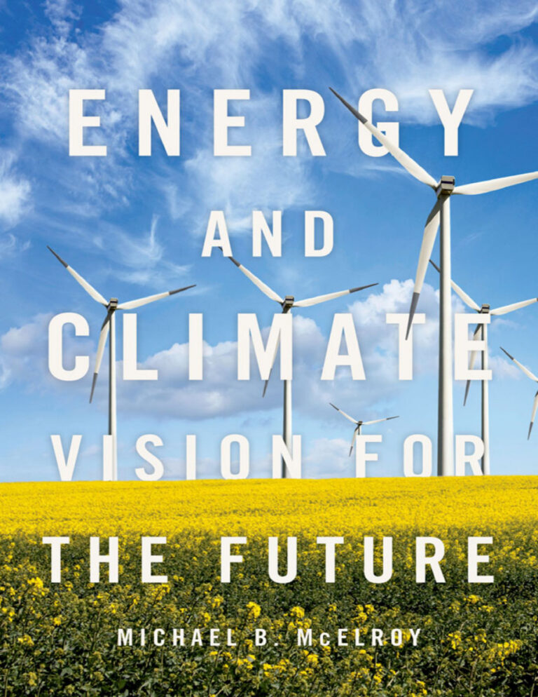 Energy and Climate Vision for the Future Michael McElroy Kitap Kapağı
