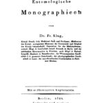 Entomologische Monographien German Edition Friedrich Klug Kitap Kapağı