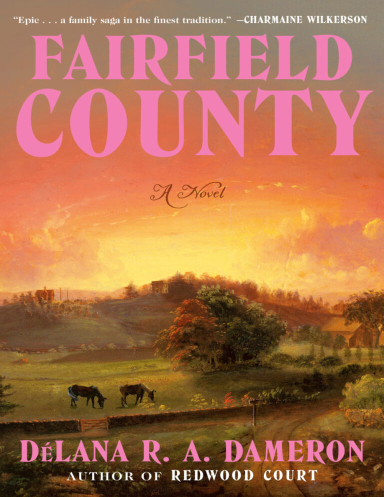 Fairfield County DeLana R A Dameron Kitap Kapağı