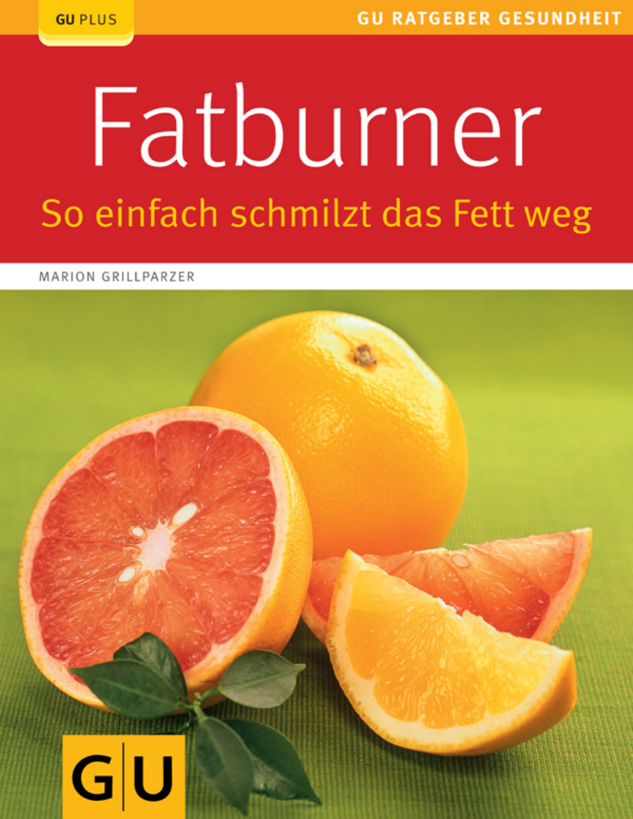 Fatburner: So einfach schmilzt das Fett weg PDF Download