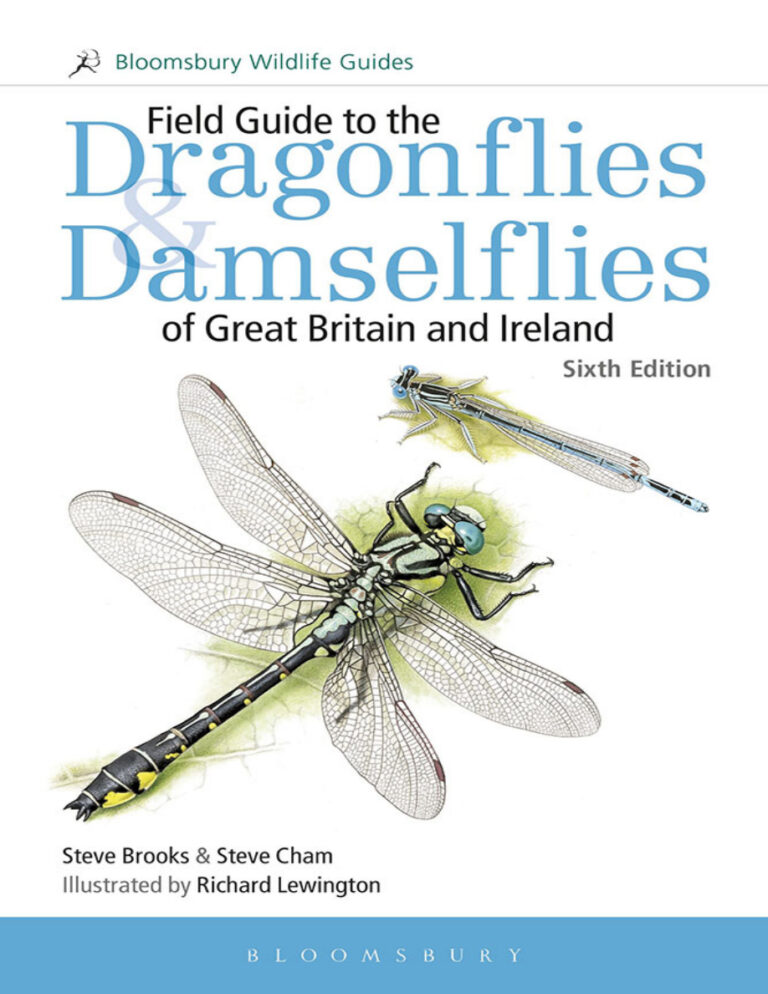Field Guide to the Dragonflies Damselflies Steve Brooks Kitap Kapağı