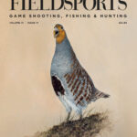 Fieldsports Volume IX Issue IV 2026 Fieldsports Kitap Kapağı
