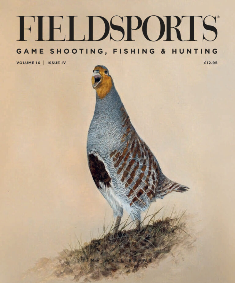 Fieldsports Volume IX Issue IV 2026 Fieldsports Kitap Kapağı