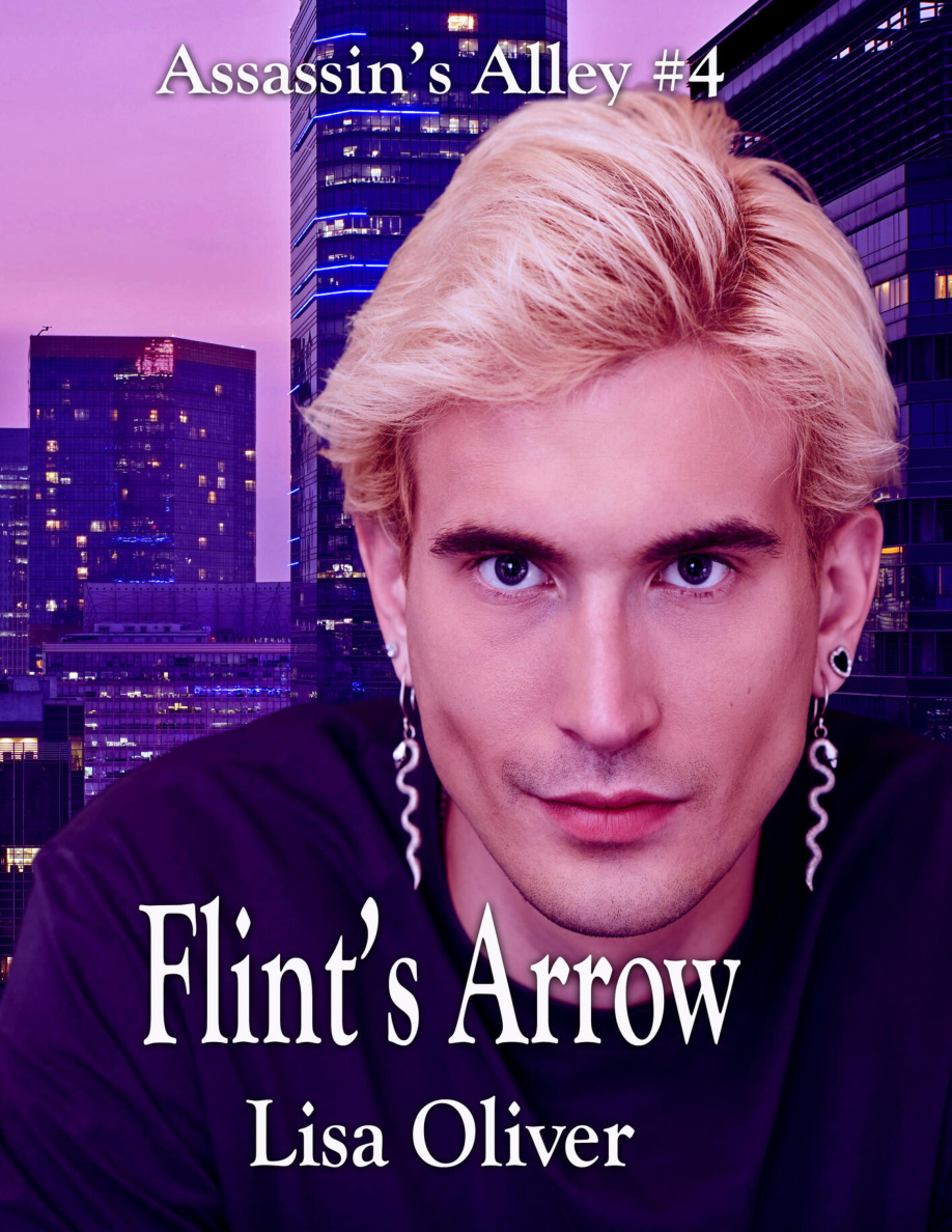 Flints Arrow Lisa Oliver Kitap Kapağı