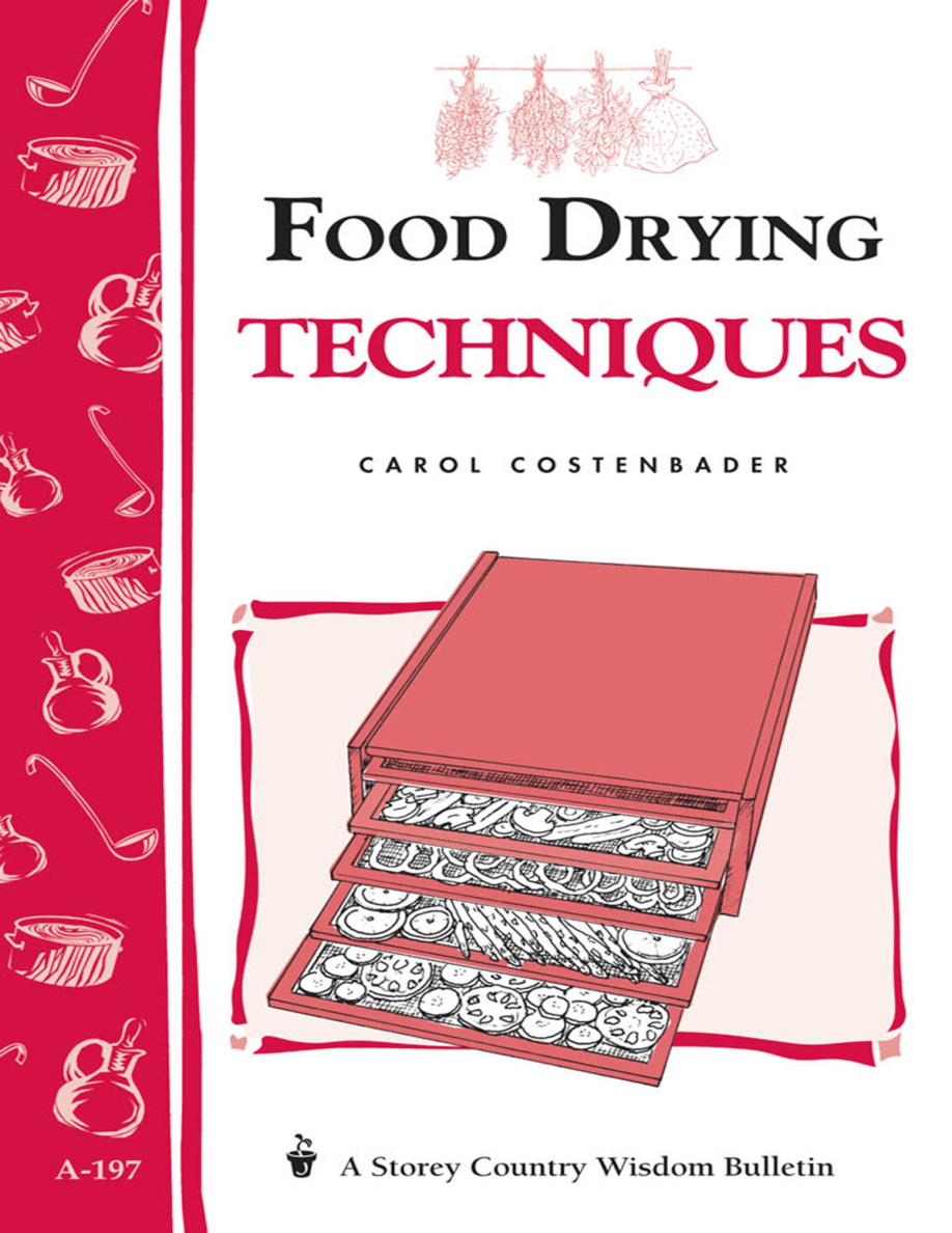 Food Drying Techniques PDF Download