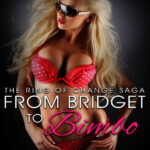 From Bridget to Bimbo TF Wright Kitap Kapağı