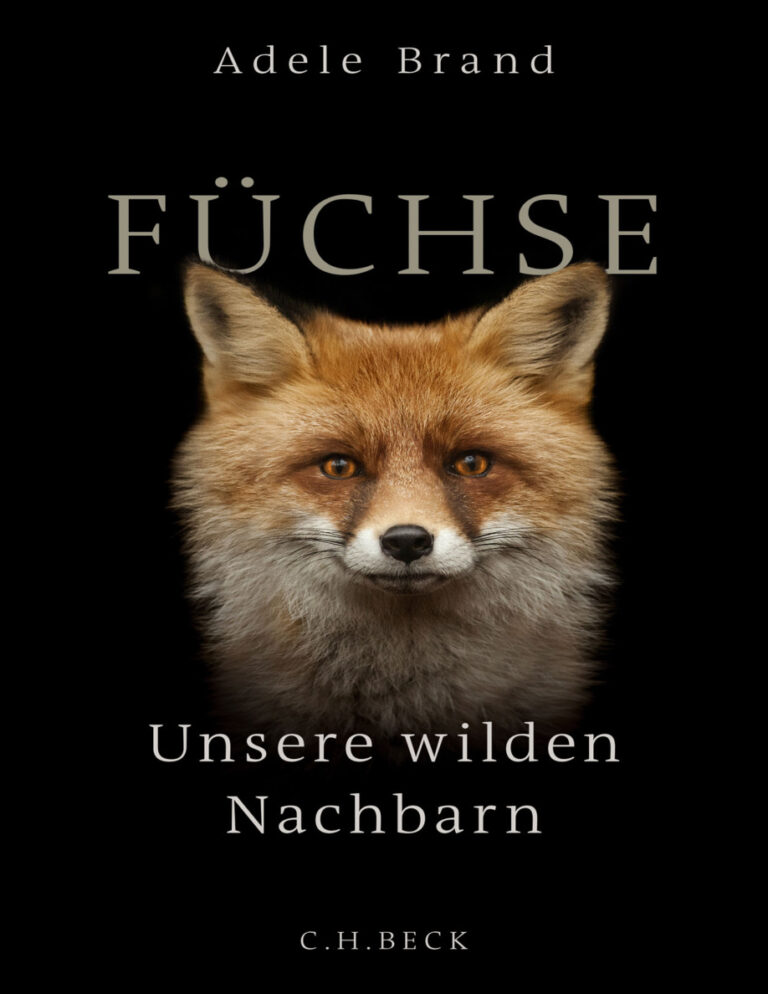 Fuchse German Edition Adele Brand Kitap Kapağı