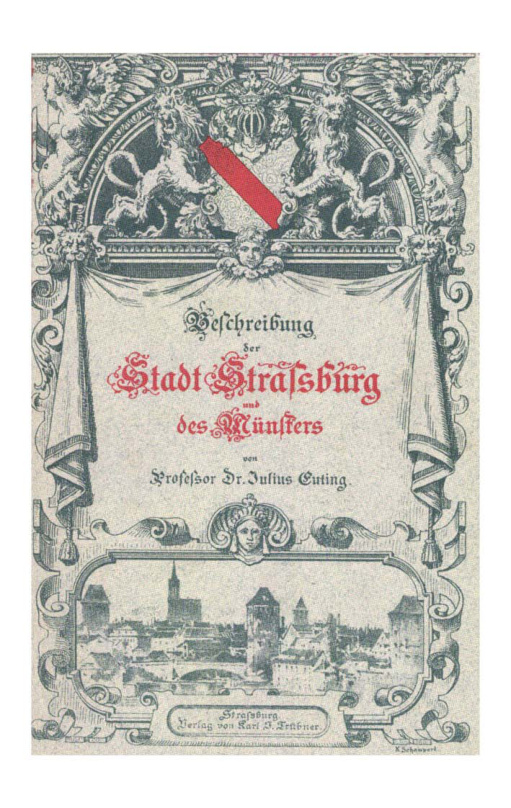 Führer durch Strassburg PDF Download