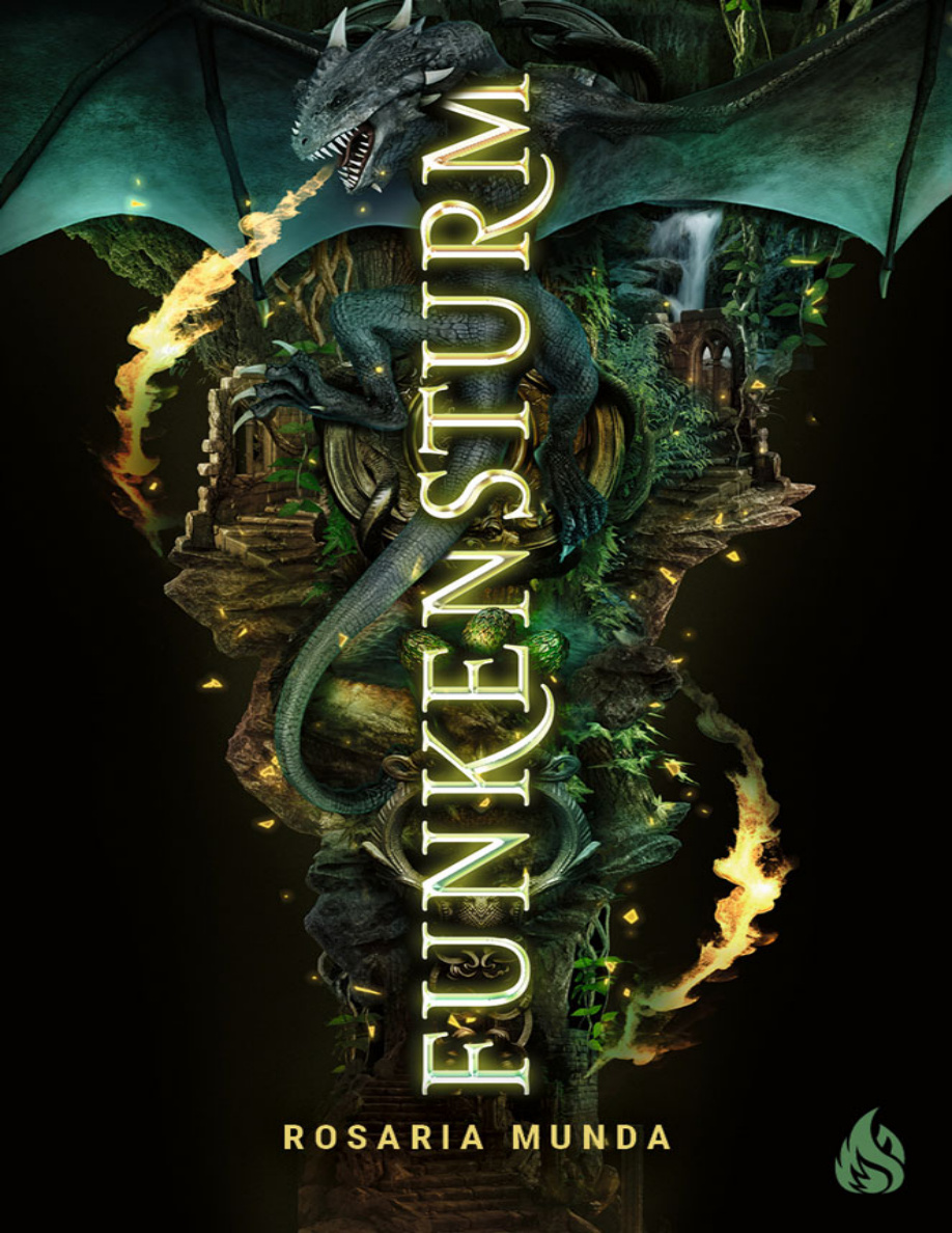 Funkensturm PDF Download