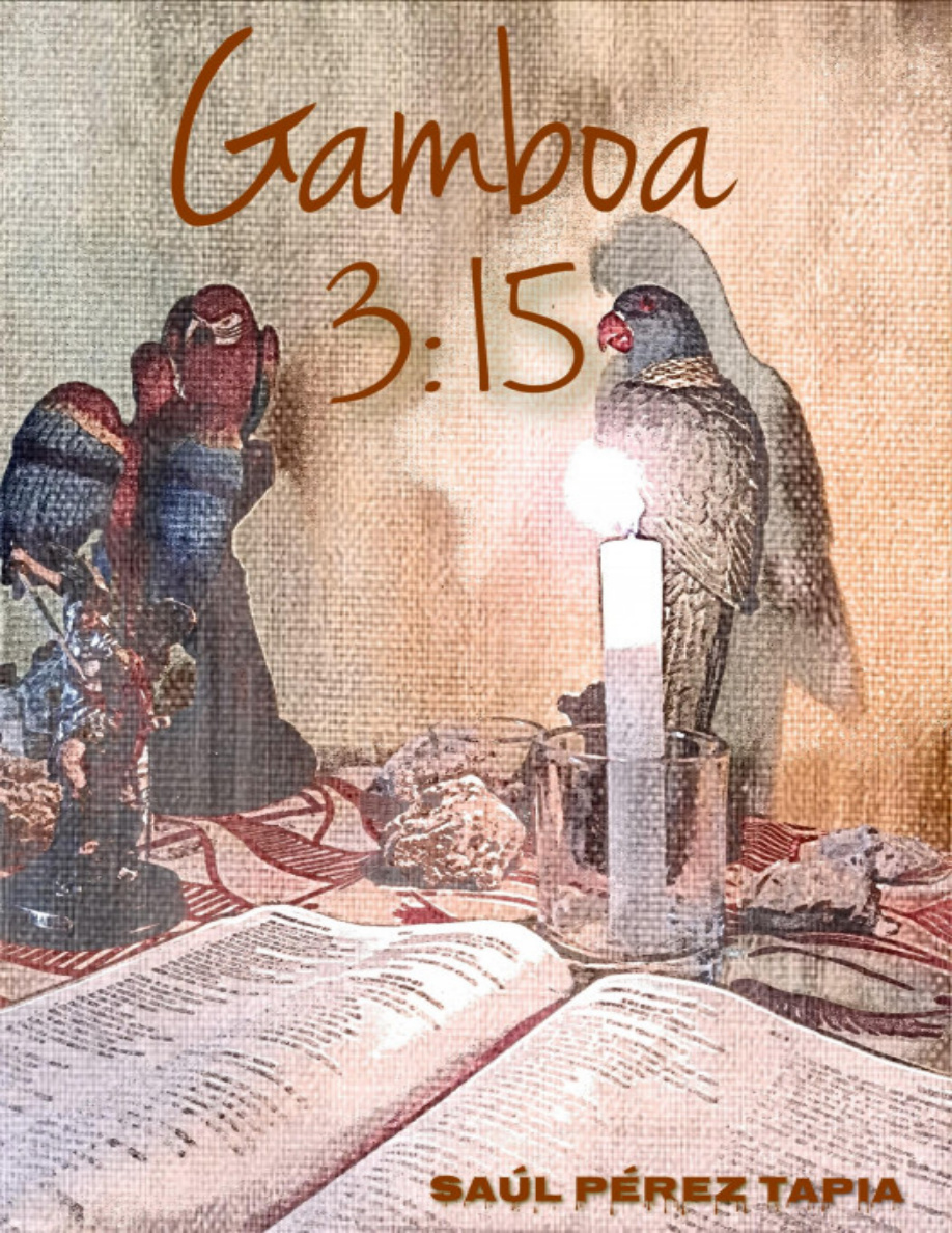 Gamboa 3 15 PDF Download