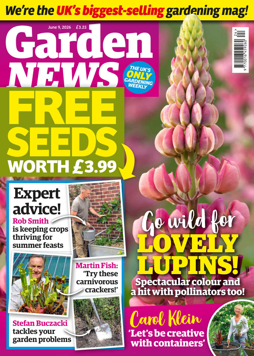 Garden News June 09 2026 Garden News Kitap Kapağı