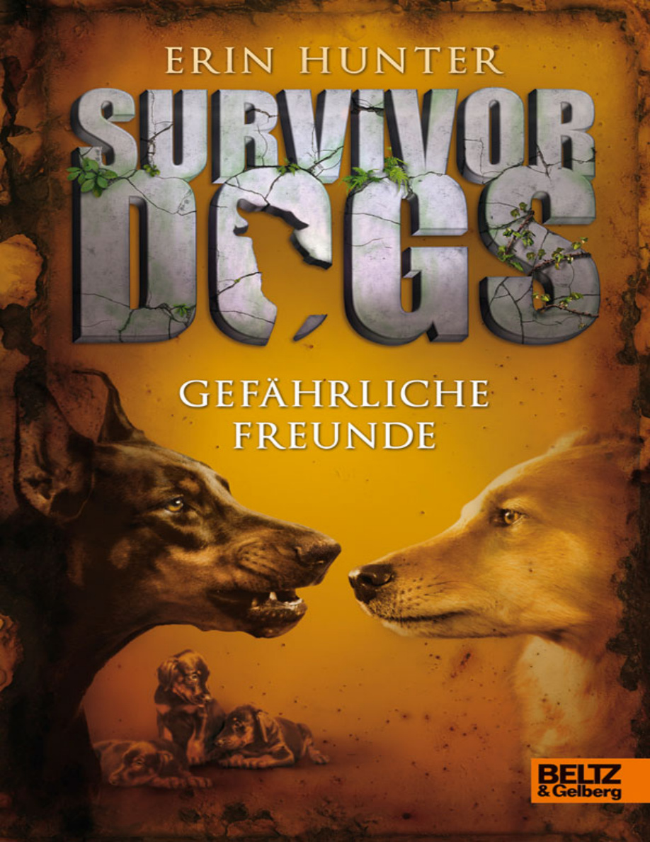 Gefährliche Freunde PDF Download