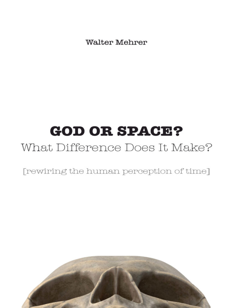 God or space What difference does it really make Walter Mehrer Kitap Kapağı