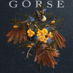 Gorse Sam K Horton Kitap Kapağı