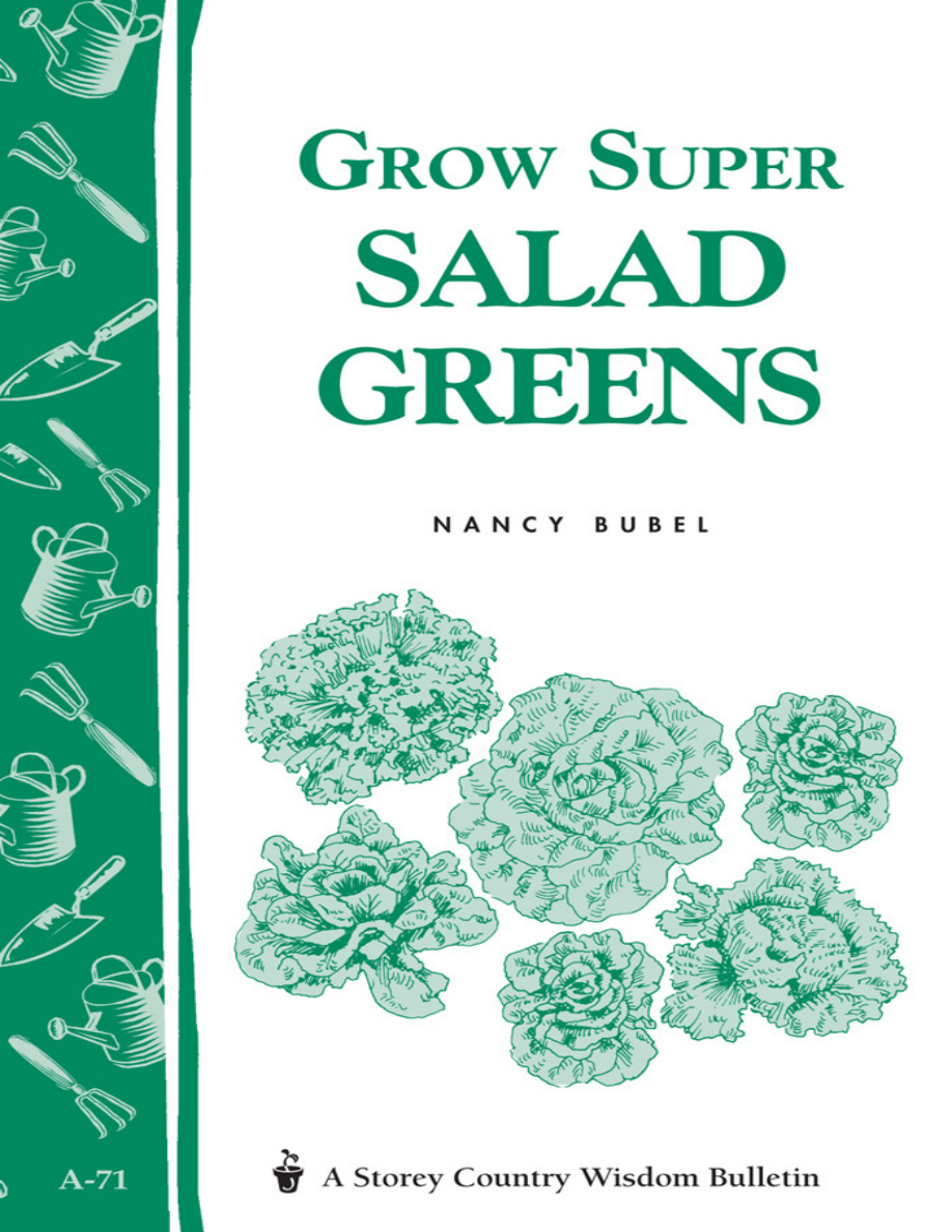 Grow Super Salad Greens PDF Download