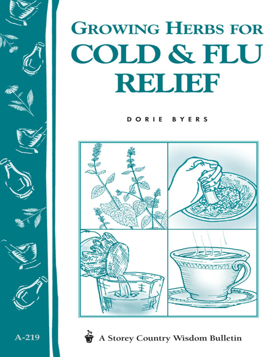 Growing Herbs For Cold and Flu Relief PDF Download