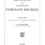 Grundzuge einer allgemeinen Pathologie der Zelle German Edition S M Lukjanow Kitap Kapağı