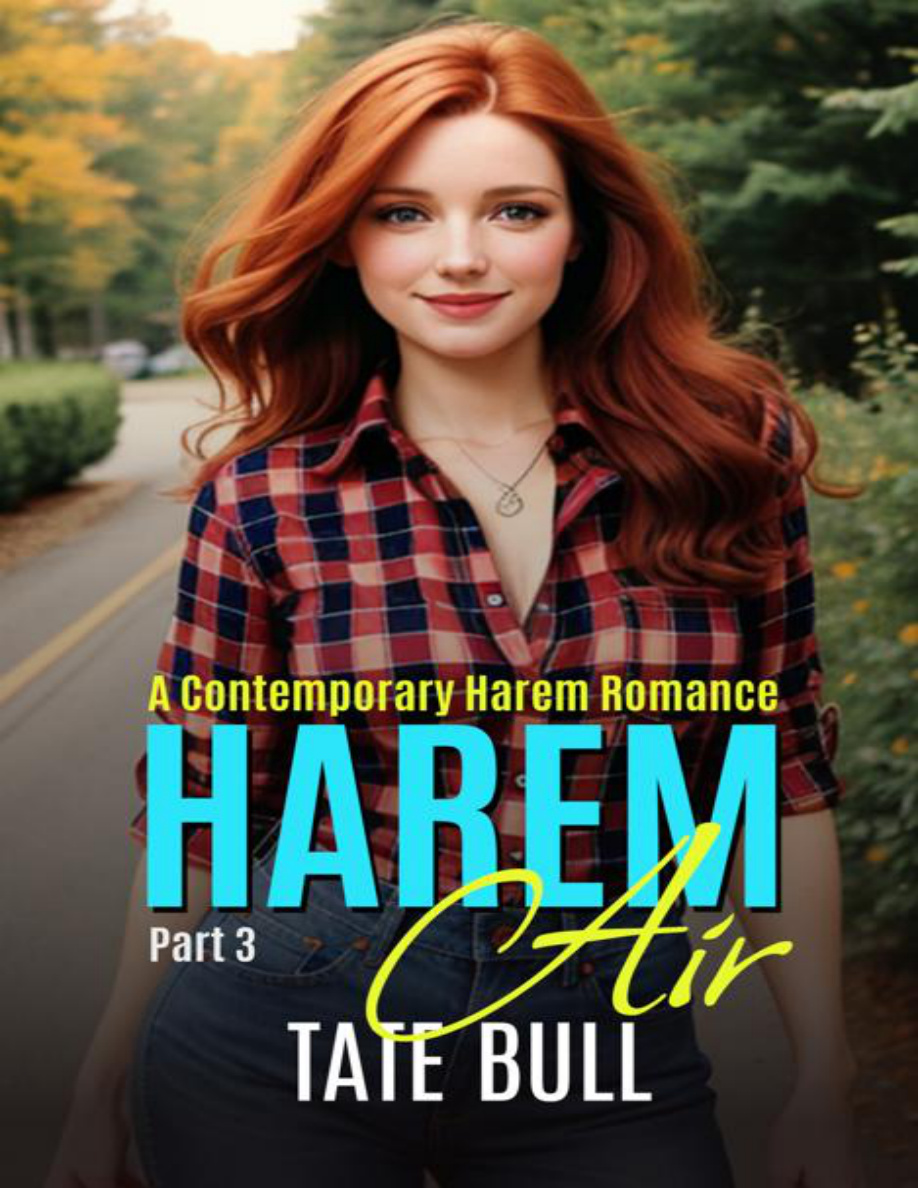 Harem Air part 3 A Contemporary MFFF Harem Tate Bull Kitap Kapağı