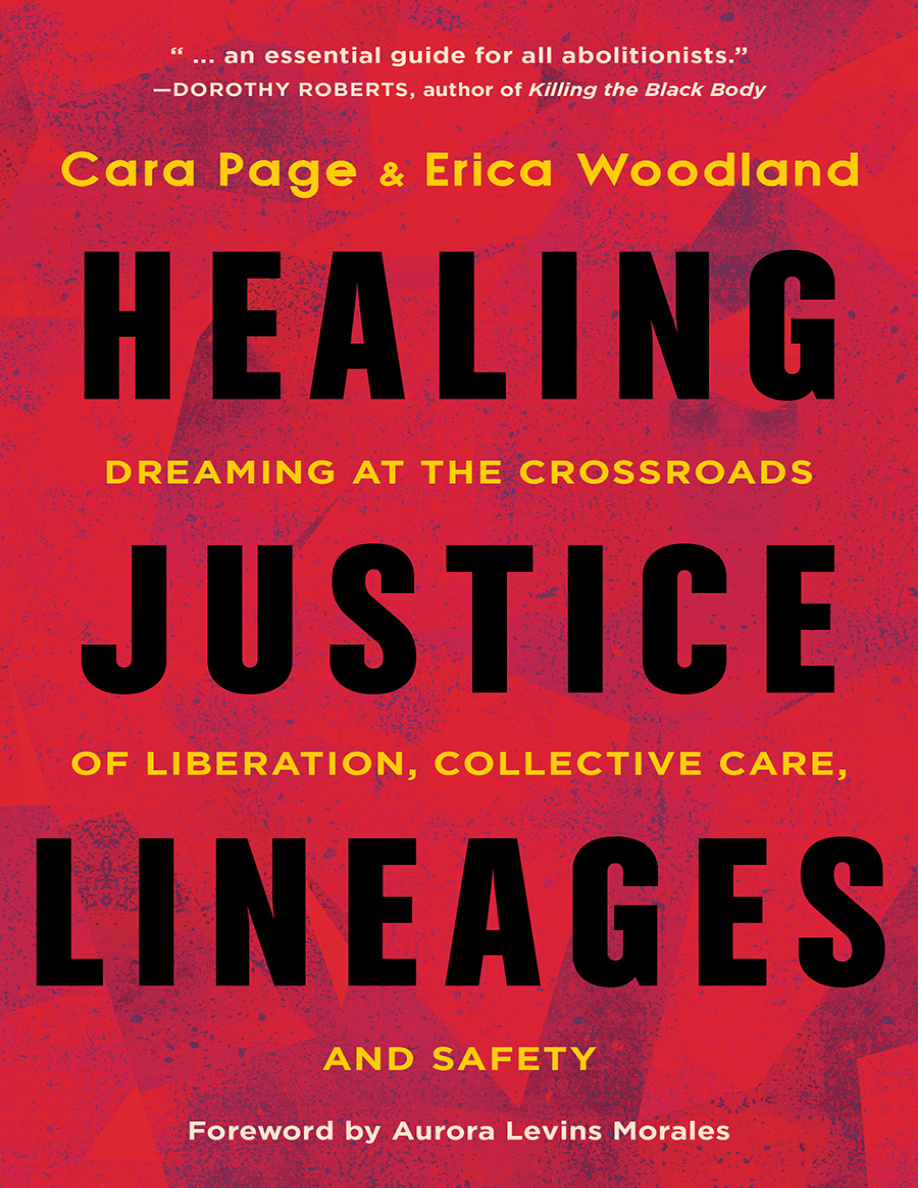 Healing Justice Lineages PDF Download