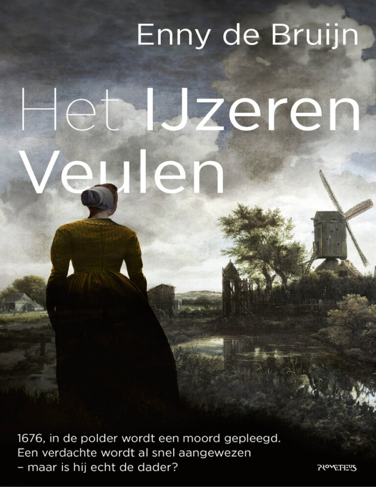 Het ijzeren veulen Dutch Edition Enny de Bruijn Kitap Kapağı
