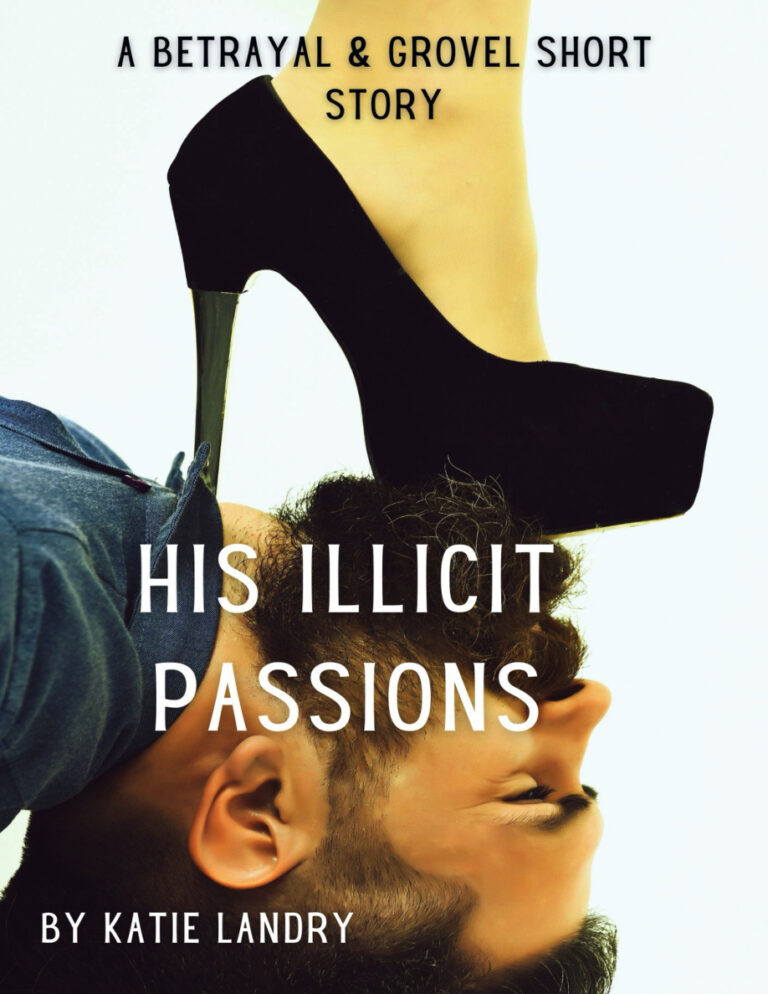 His illicit passions Katie Landry Kitap Kapağı