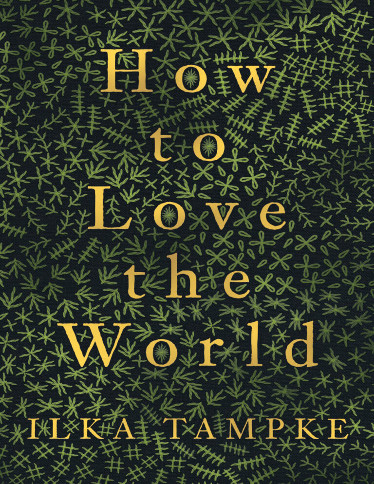 How to Love the World Ilka Tampke Kitap Kapağı