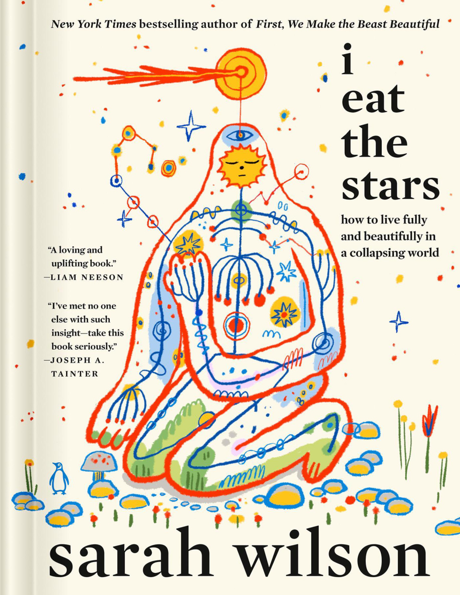 I Eat the Stars PDF Download