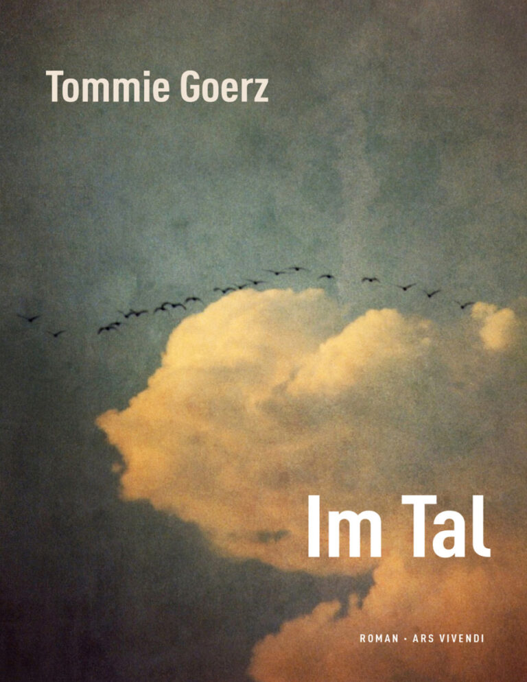 Im Tal German Edition Tommie Goerz Kitap Kapağı