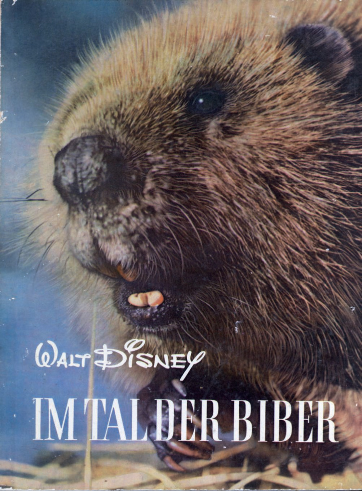 Im Tal der Biber kl German Edition Walt Disney Kitap Kapağı