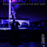 Indigo haze 1 Aubree pynn Kitap Kapağı