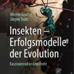 Insekten Erfolgsmodelle der Evolution German Edition Werner Gnatzy Kitap Kapağı