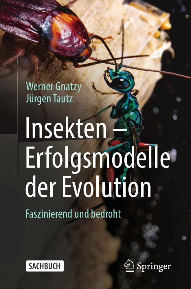 Insekten Erfolgsmodelle der Evolution German Edition Werner Gnatzy Kitap Kapağı