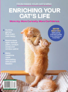 Inside Your Cats Mind Enriching Your Cats Life 2026 Inside Your Cats Mind Kitap Kapağı