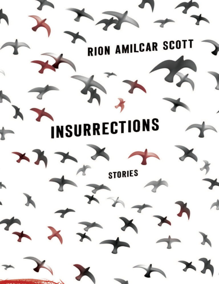 Insurrections Rion Amilcar Scott Kitap Kapağı