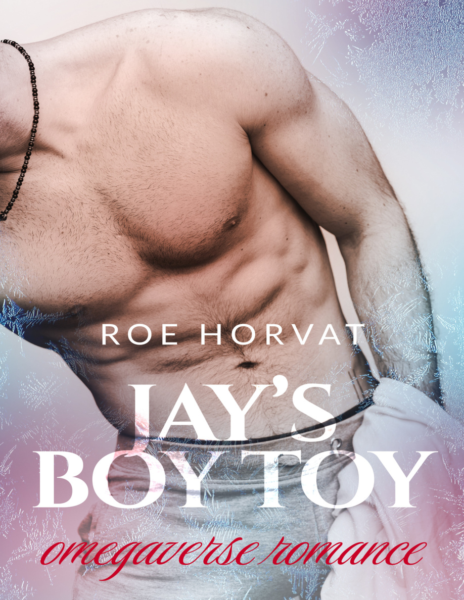 Jays Boy Toy Roe Horvat Kitap Kapağı