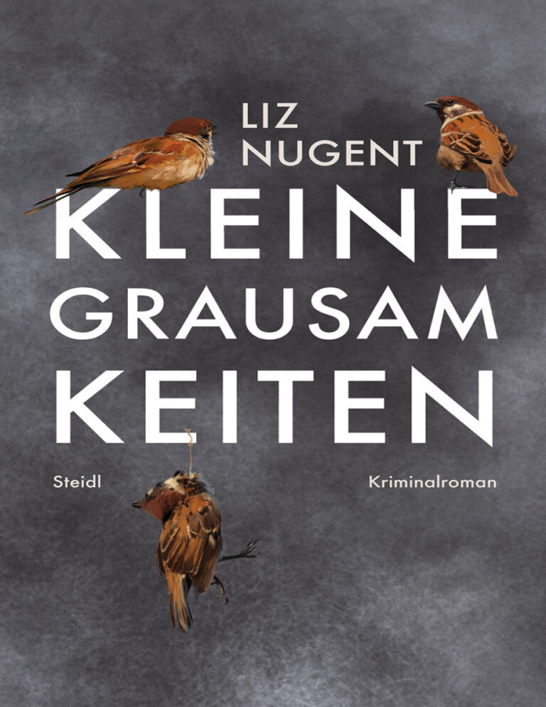 Kleine Grausamkeiten German Edition Liz Nugent Kitap Kapağı