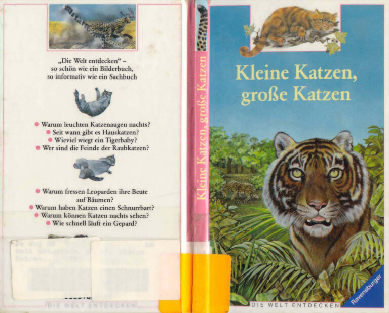 Kleine Katzen Grosse Katzen German Edition Fontanel Beatrice Kitap Kapağı