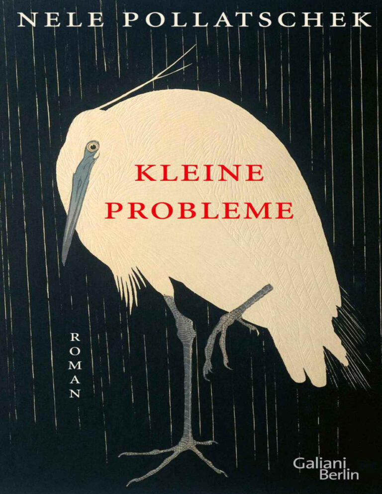 Kleine Probleme German Edition Nele Pollatschek Kitap Kapağı