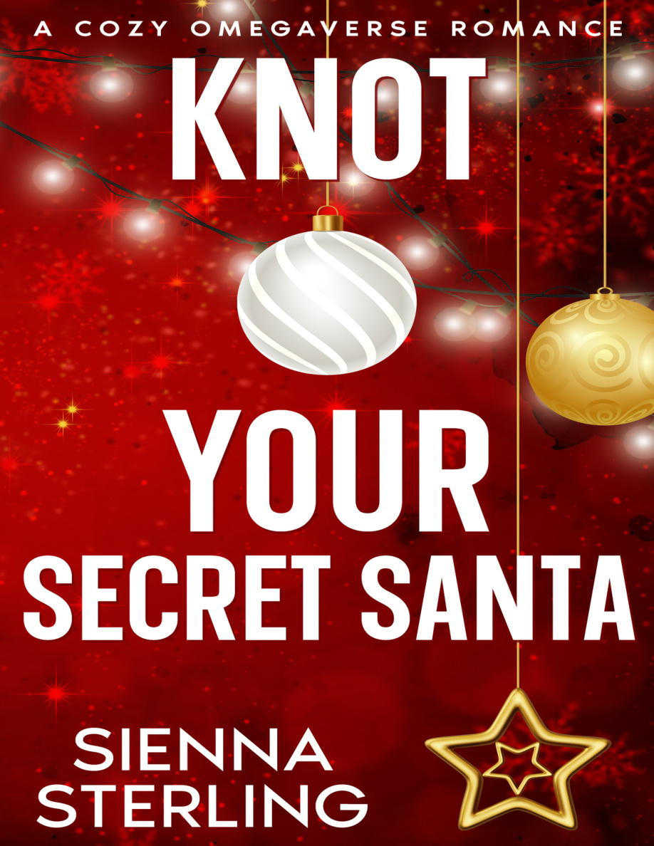 Knot your secret Santa Sienna Sterling Kitap Kapağı