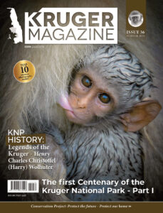 Kruger Magazine Issue 36 Winter 2026 Kruger Magazine Kitap Kapağı