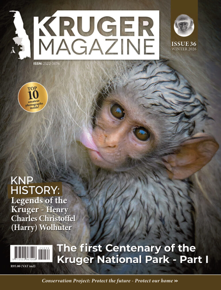 Kruger Magazine Issue 36 Winter 2026 Kruger Magazine Kitap Kapağı