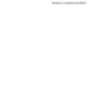 Kurschners Graphiker Handbuch Deutschland Osterreich Schweiz Graphiker Illustratoren Karikaturisten Gebrauchsgraphiker Typographen Buch Kitap Kapağı