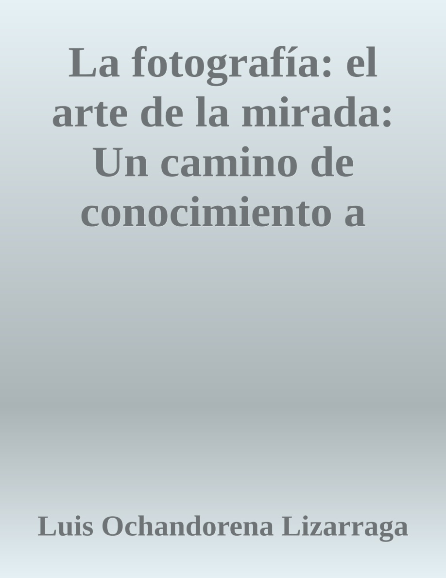 La Fotografía: el Arte de la Mirada PDF Download