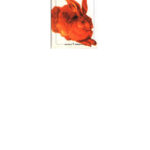 La colina de Watership Adams Richard Kitap Kapağı